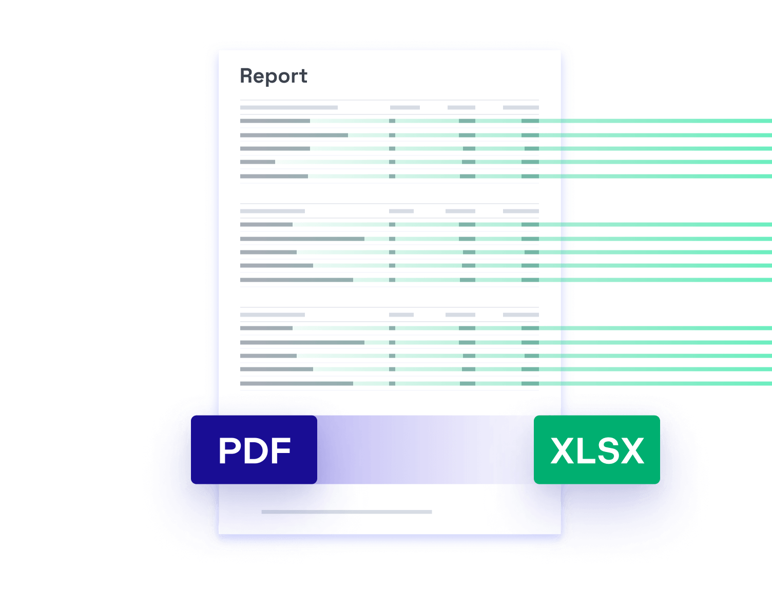Picture of a PDF Report document that can be converted to Excel format.