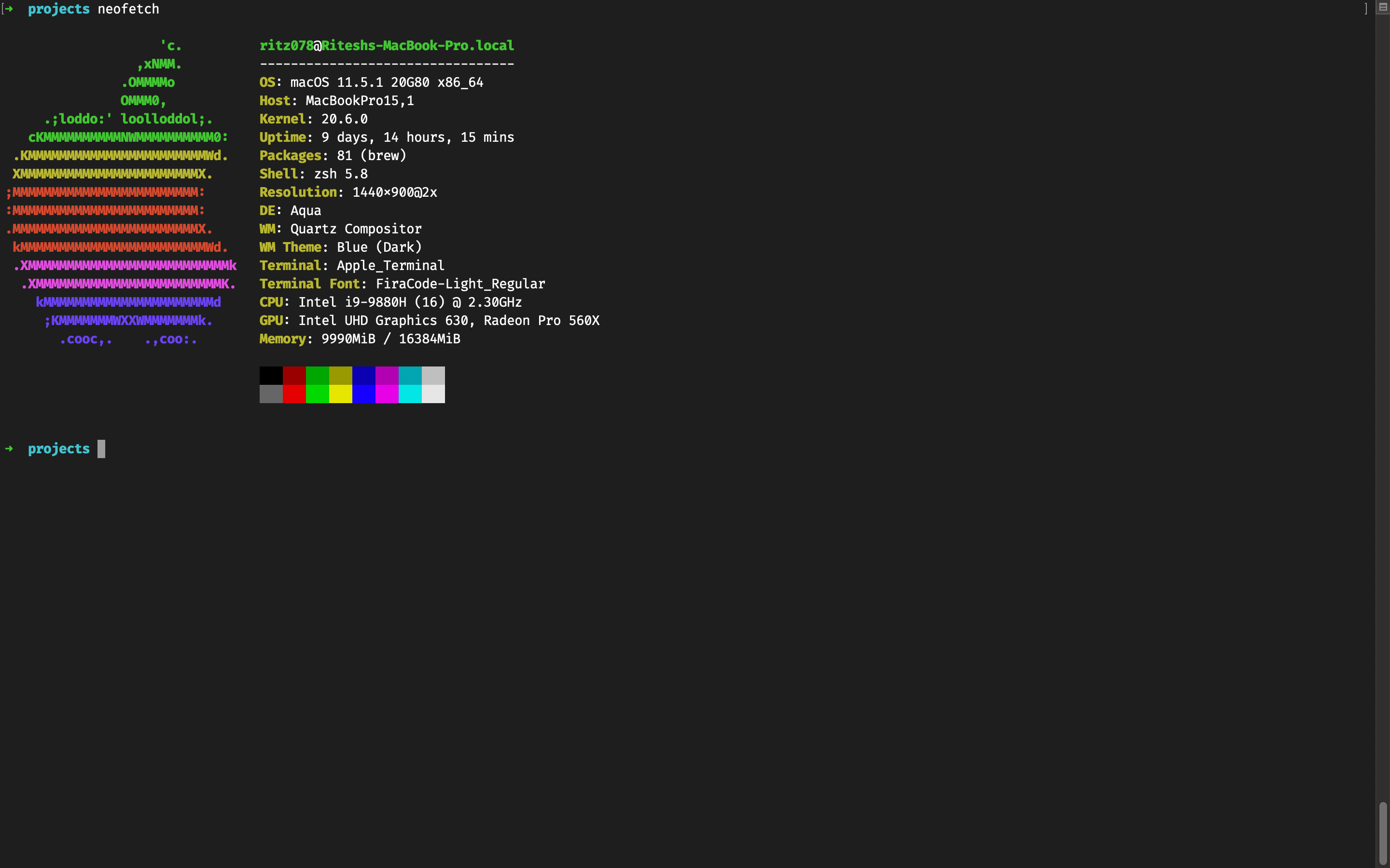 Ritesh’s colorful terminal.