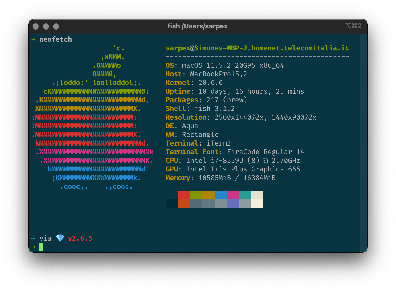 Simone’s colorful iTerm2 terminal.