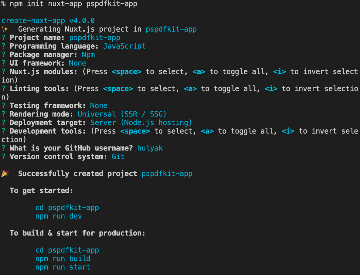 Nuxt.js project creation