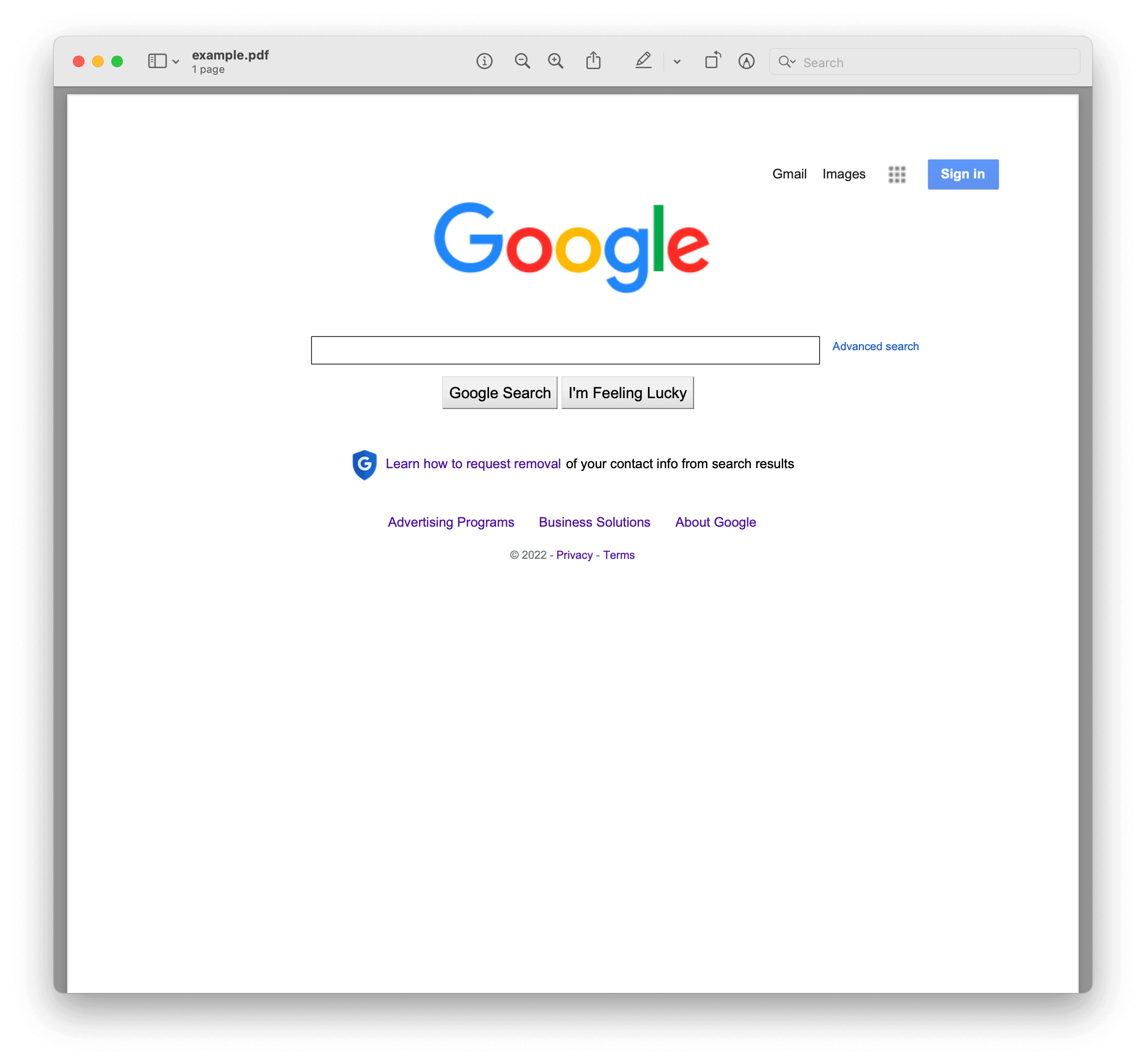 Google Home Page PDF