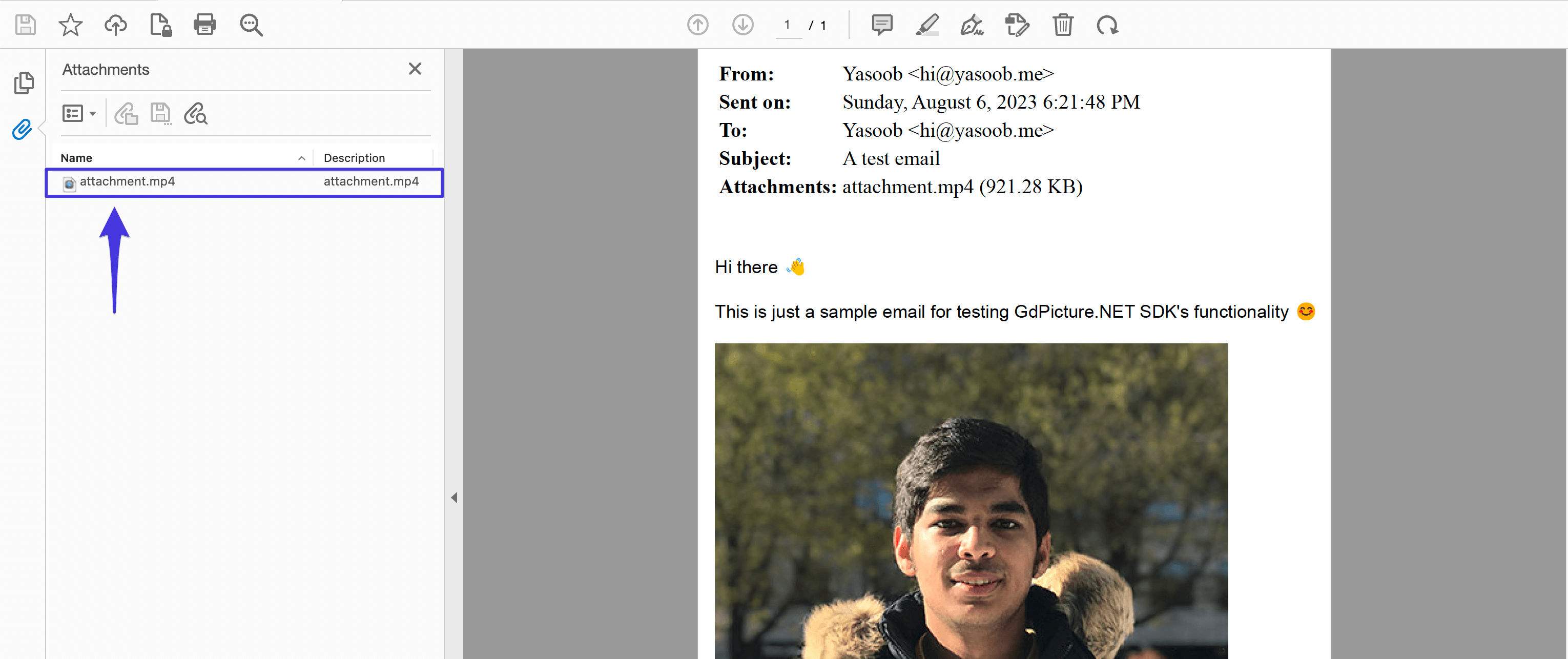 Email Attachments in PDF