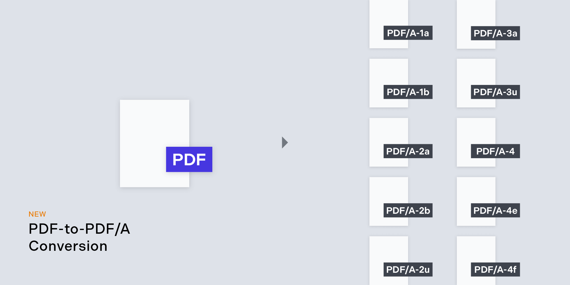PDF-to-PDF/A Conversion