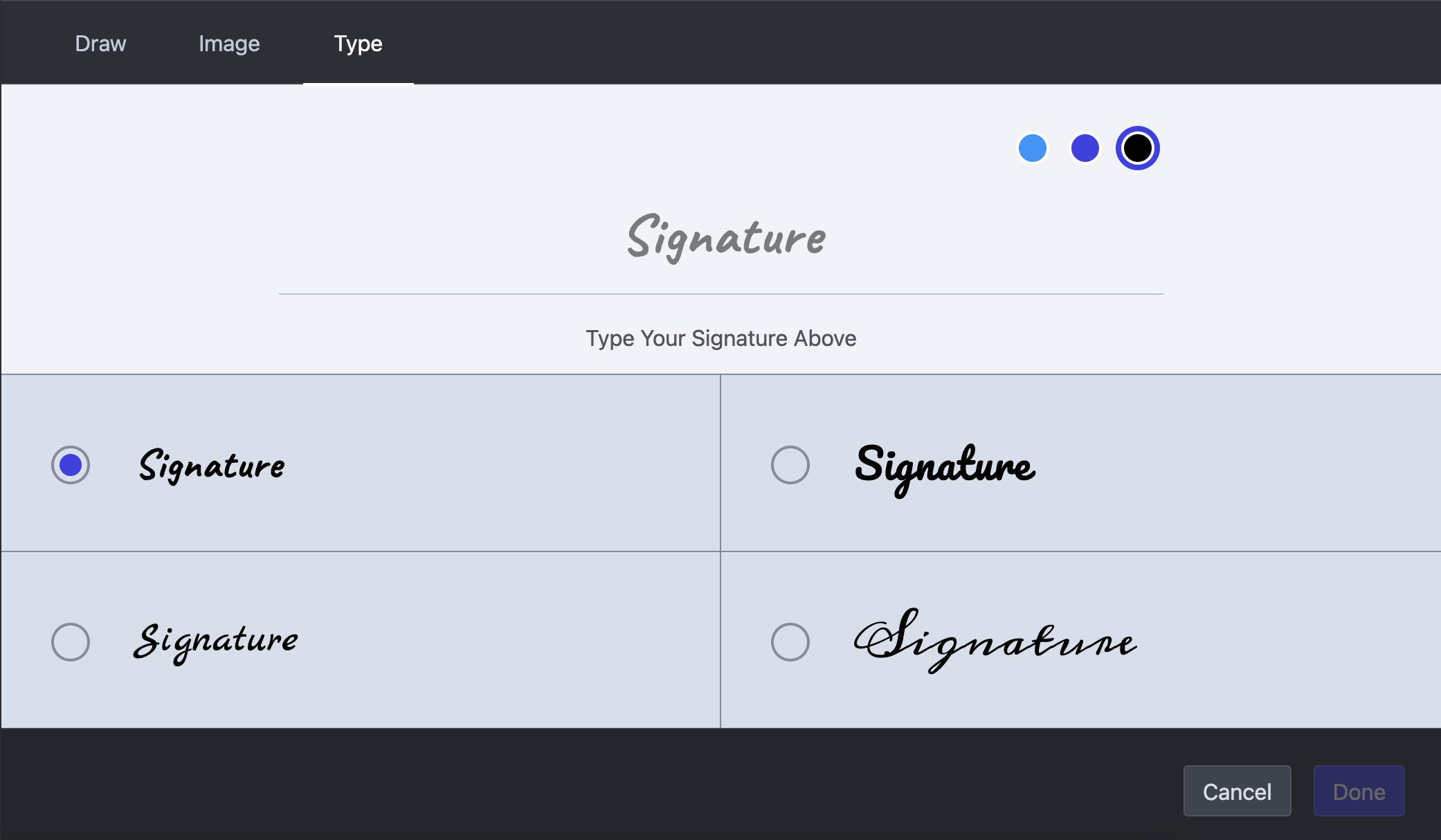 The type panel in the signature interface