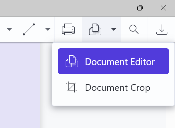 Document editor tool