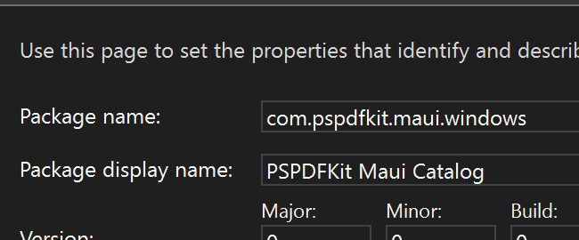 Windows Package Name