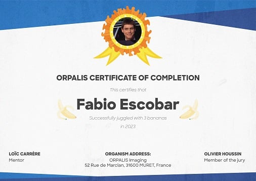 An example of certificate of completion