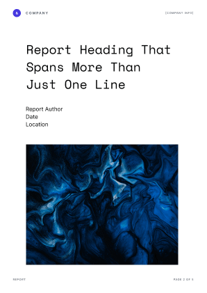 Report Template Preview