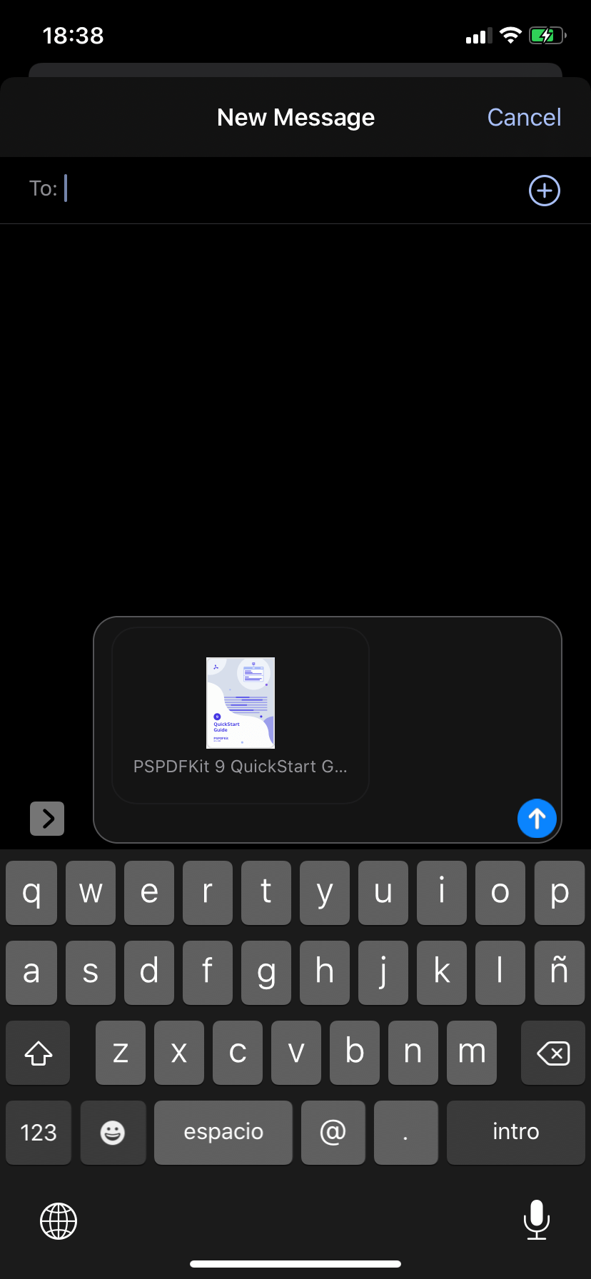Screenshot of attachment in messages app